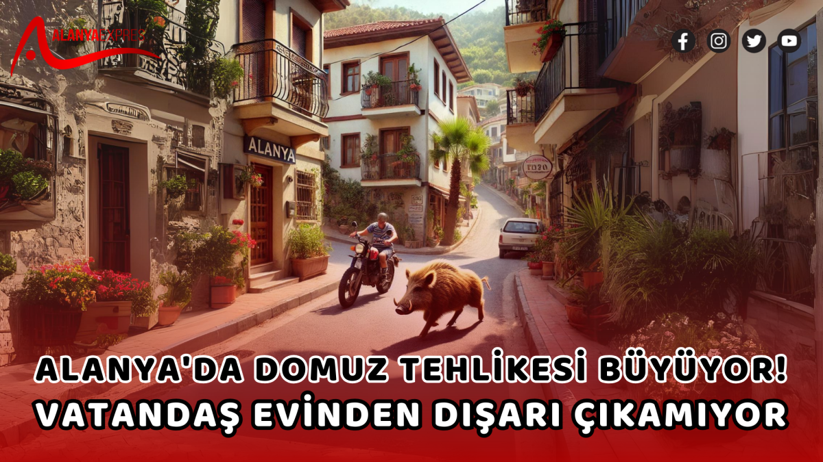 ALANYA'DA DOMUZ TEHLİKESİ BÜYÜYOR! VATANDAŞ EVİNDEN DIŞARI ÇIKAMIYOR