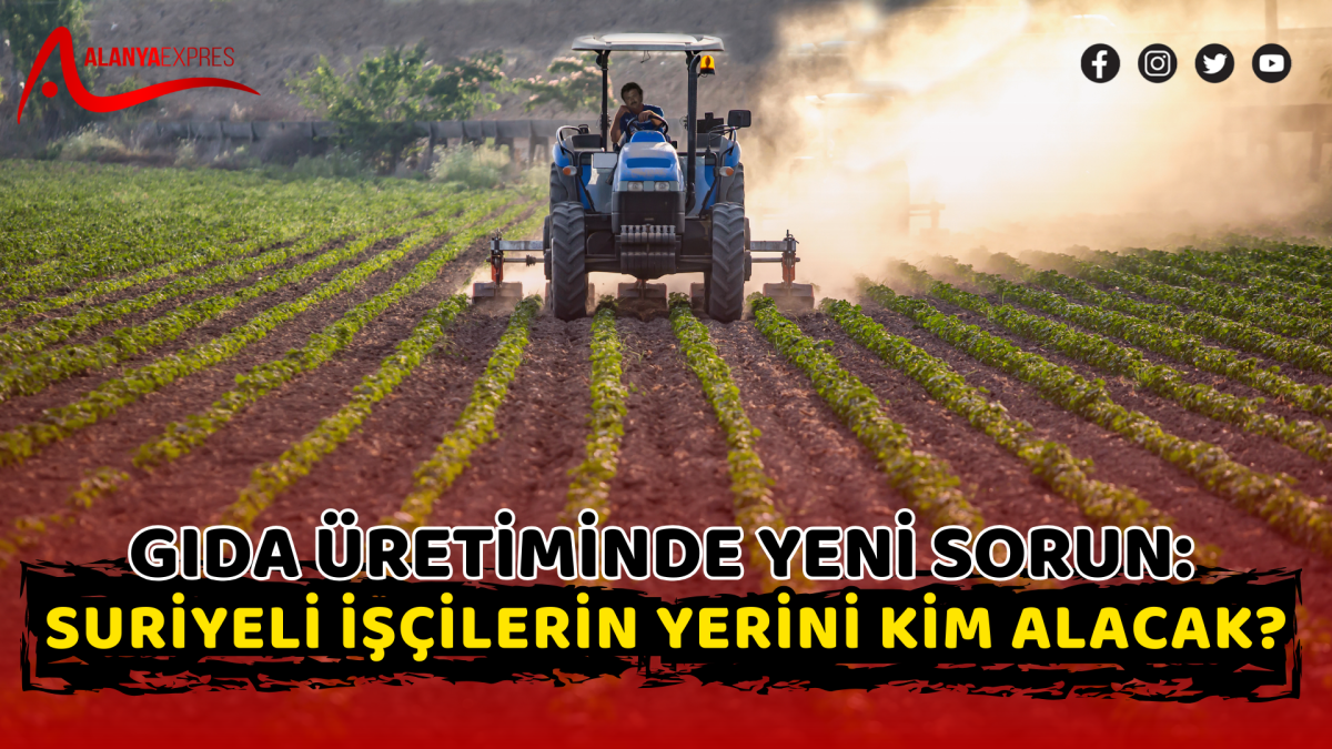 Gıda Üretiminde Yeni Sorun: Suriyeli İşçilerin Yerini Kim Alacak?