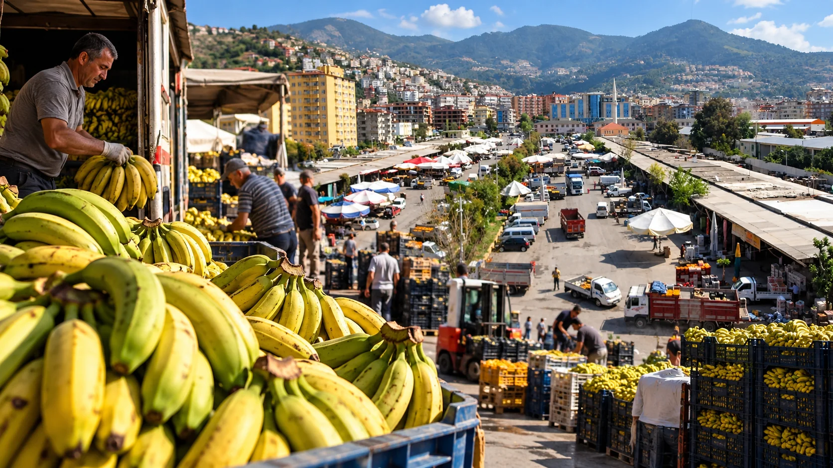 ALANYA HALİNDE MUZ FİYATLARI UÇTU!